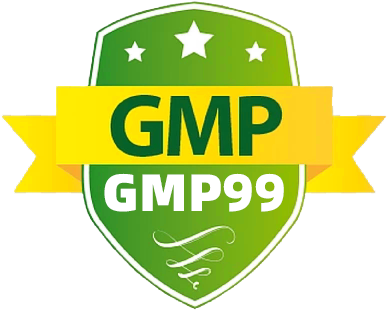 mygmp99.net Logo